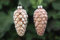 Christbaumkugel Zapfen Bronze Glas 2er Set