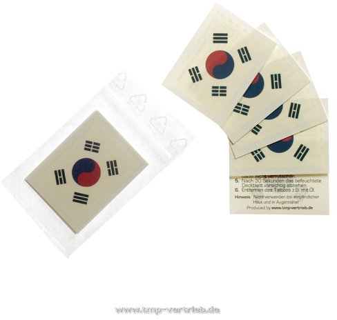 10 x Südkorea Tattoo Fan Fahnen Set - WM 2018 South Korea temporary tattoo Flag (10)