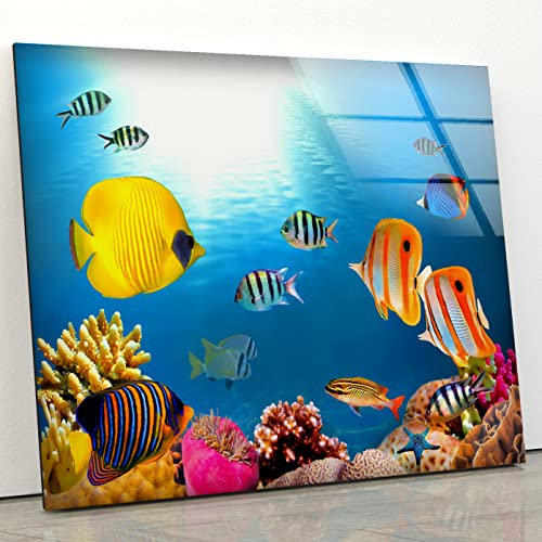 Myphotostation Décoration murale en verre trempé Motif récif de corail 90 x 61 cm (l x H x H) - Décoration murale moderne en verre trempé sous la mer - Décoration murale sous la mer