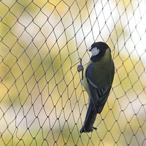 Vogelschutznetz, 10 x 6 m breit, Anti-Vogel-Netz, starker Gartenteich, Obstnetz, Schutz, Gemüsekäfig für Käfige, Glocken, Hochbeete, Wachstumstunnel, Rahmen