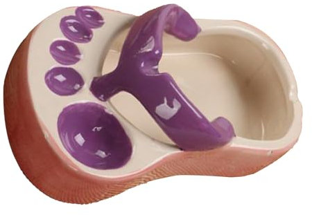 Plat à Frites Tongs, Assiette à Frites en Céramique, Bol pour le Service de Sauce à Collation (PURPLE)