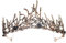 Perle Vintage Haar Krone,Schwarze Perle Krone,Vintage Prinzessin Haarkrone,Braut Hochzeit Kristall Tiara,Zubehör für Prom Pageant Geburtstagsfeier Weihnachten Halloween Abschlussball