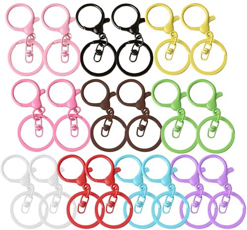 Hayaww 20 Pièces Mousqueton Porte-Clés Métal - 10 Couleurs, Fermoir, Attache Amovible pour DIY Décoration (A)