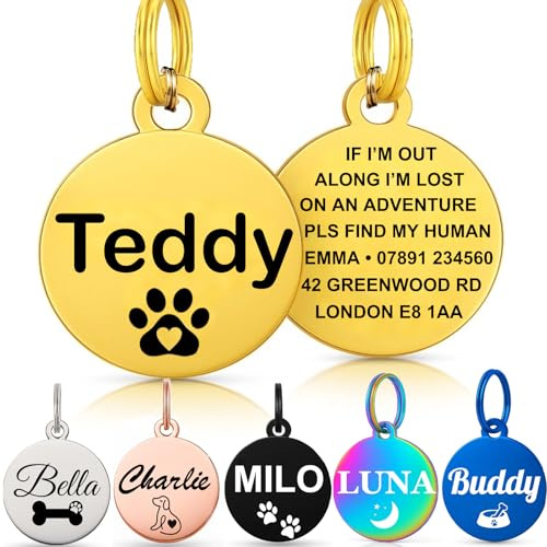 Personalised Dog Tags for Pets UK Prime, Deep Engraved Cat Dog Name ID Tags, Stainless Steel Pet Tag for Doggy Kitten Kitty Puppy, Scratch Resistant Tag (Gold Round, L)