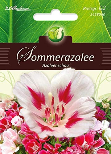 Chrestensen Sommerazalee „Azaleenschau“ Blühfreudige Garten-Azalee mit leuchtenden Sommerblüten – Ideal für Beet, Kübel & halbschattige Standorte