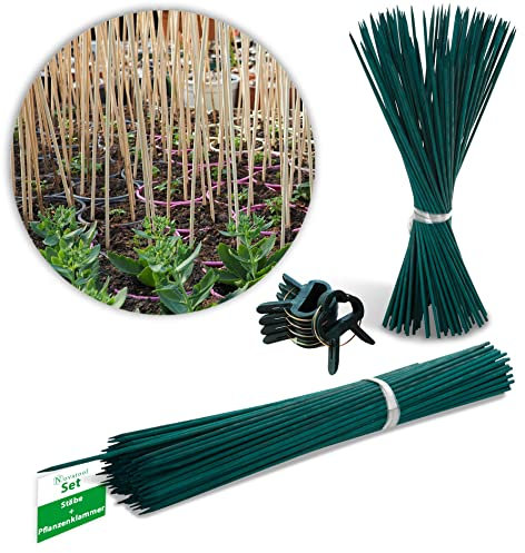 Novatool Lot de 100 tiges de séparation de 60 cm et 20 fixations pour plantes I Tuteur en bambou I Tuteur de plantes d'intérieur I Barre en bambou