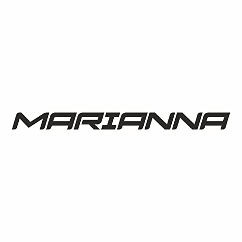 AMA SHOP Personalisierbarer Aufkleber für Auto, Namensaufkleber, Helm, Motorrad, Wohnmobil, Boot, AutoTuning