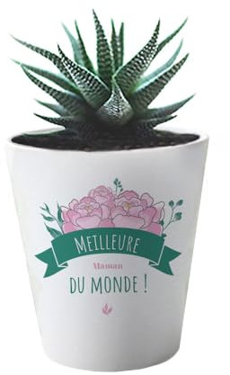 CADEAUX.COM Blumentopf mit Blumenmotiv, 10 cm – Beste Mama du Monde – Keramiktopf – Geschenk für Geburtstag Mama – Geschenkidee für Mama – Geschenk zum Muttertag – Geschenk für Damen
