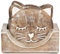Indus Lifespace Wooden Coasters for Drinks Beer Wine Glass Tea Coffee Cup Mug Coaster Holder (Cat) (Coaster 8.9Cm, Set of 6)