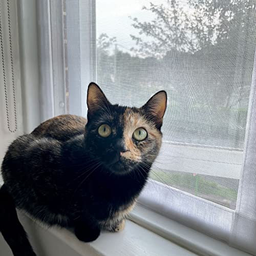 Flat Cats Window Protection for Cats Standard Twin Pack (White Mesh/White Fixings, 28 x 48)