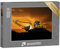 Puzzle 1000 Teile XXL „Crawler Bagger auf Einer Baustelle bei Sonnenuntergang“ – aus der Puzzle-Kollektion Bagger