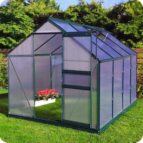 DIGIPLASTICS Serra in policarbonato alveolare 6 mm Ezooza Tampella 190 x 250 cm con fondamenta