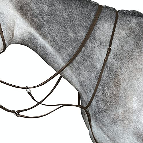 Collegiate IV Running Martingales Cob Brown