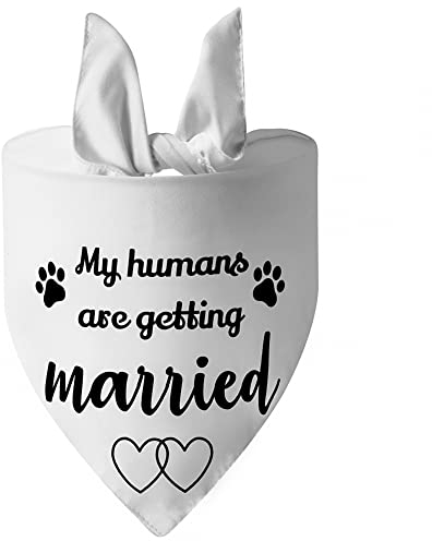 Hunde Verlobungs Bandana,Atmungsaktiver Hunde Hochzeits Foto Requisiten Schal Tragbar Waschbar Katzen Hochzeits Verlobungs Halstuch Mit Meinen Menschen Werden Heiraten Sie Sagte Ja