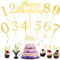 Mezrkuwr 11 Stück Alles Gute zum Geburtstag Kuchendekoration mit Kuchendeckel Zahlen 0-9, Cupcake Topper für Geburtstagsfeiern