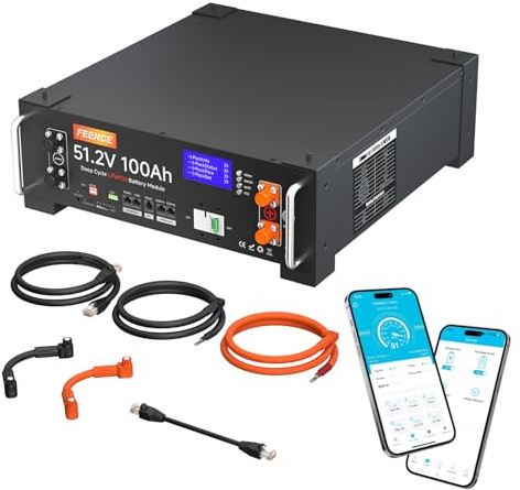 5.12KWh 48V 100AH LiFePO4 Lithium Batterie mit 100A Bluetooth BMS, 48V Lithiumbatterie unterstützt Kommunikation mit Wechselrichter, Perfekt für Wohnmobile Solarwechselrichter Häuser Photovoltaik