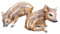 Aspinaworld Gartenfigur, Baby Wildschwein Figuren im 2 er Set 14 cm, Figur für den Garten, wetterfeste Deko