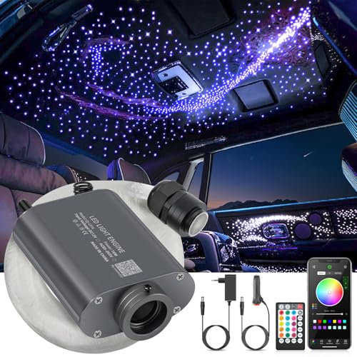 SUNKENET 16W Sternenhimmel Auto, 650pcs*0.75mm*4m Sternenhimmel Glasfaser RGBW Bluetooth-APP/Fernbedienung Led Glasfaser Licht für Auto/Decke/Theater