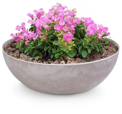 matches21 Pflanzschale für draußen - große Vintage Dekoschale Sand beige marmoriert als Blumentopf Pflanztopf - Schale in 45 x 13 cm als Garten Vogeltränke Balkon-Deko oder Friedhof Grabschale