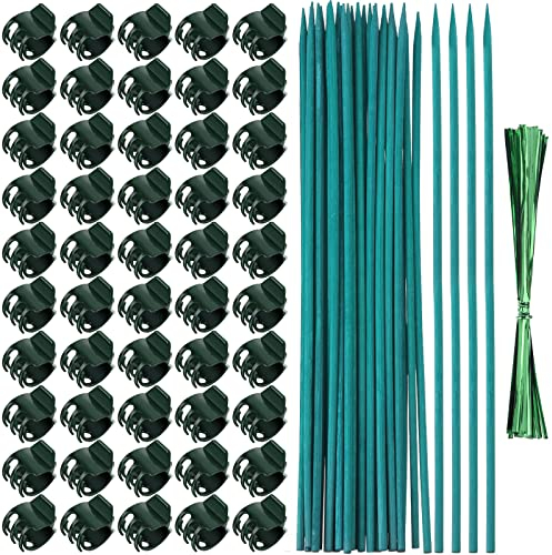 Jetec 50 Stück Orchidee Clips Kunststoff Garten Pflanzenclips mit 30 Stück Grün Bambus Pflanzenpfähle, 30 Stück Metallic Twist Ties zur Unterstützung von Stielen Reben Stiele Wachsen aufrecht (38cm)
