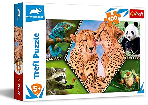 Puzzle 100 Schöne Natur