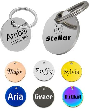 Porte-adresse pour chien personnalisé, Médaillons personnalisés pour chiens, Personnalisation de 6 lignes de texte et de Code QR, gravure laser sur acier inoxydable (Ronde)