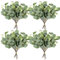 Homcomodar Künstliche Pflanzen Eukalyptus Deko 24Pc Simulation Grüner Eucalyptus Hinterlässt Zweige Silberdollar Eukalyptus Pflanze Bulk für Hochzeit, Garten, Haus, Büro, Indoor Outdoor Dekoration