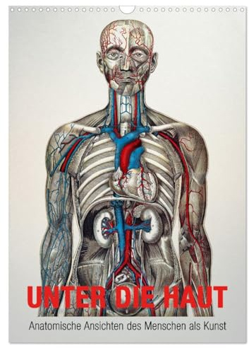 Unter die Haut (Wandkalender 2026 DIN A3 hoch), CALVENDO Monatskalender: Anatomische Ansichten des Menschen als Kunst (CALVENDO Gesundheit)