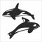 INDIGOS UG Aufkleber - Autoaufkleber - JDM - Die Cut - Orca Killer Whales Decal Auto Window Laptop Sticker - schwarz - 93mmx88mm