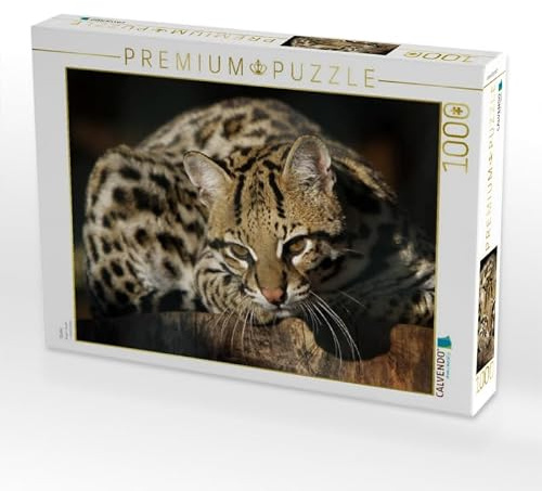 CALVENDO Puzzle Ozelot | 1000 Teile Lege-Größe 64 x 48 cm Foto-Puzzle für glückliche Stunden