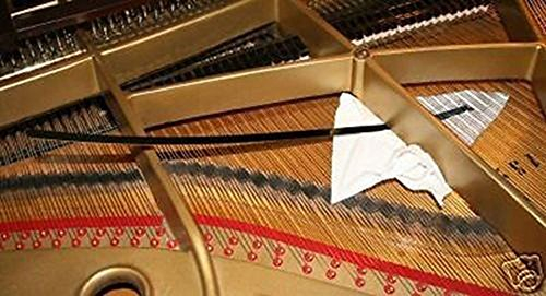 Grand Piano Resonanzboden Reiniger, Keep Piano reinigen