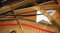 Grand Piano Resonanzboden Reiniger, Keep Piano reinigen