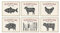 TMO2 Butcher Guide – Beef Cuts Cow Poster-Set, kulinarische Klassenzimmer-Dekoration, Fleischdiagramm, ungerahmt, 6 Stück (20,3 x 25,4 cm)