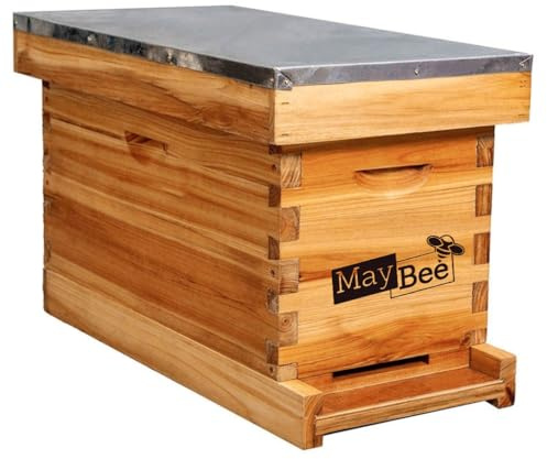 Nuc Bienenstockbox für die Imkerei mit 5 Rahmen, komplettes Bienenstock, Nuc Box Kit in Bienenwachs getaucht, inklusive 5 Holzrahmen & schwerwachsbeschichteten Fundamenten