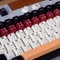 PBT Japanese Black White Keycaps Cherry Profile Keycap Set 129 Keys Dye-Sub Custom Keyboard Keycaps for 60% 65% 75% Cherry Gateron MX Switches Mechanical Keyboards