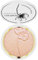 Catrice Cosmetics Limited Edition Glow Patrol - Glowy Highlighter Nr. C02 Aphrodite Inhalt: 8,5g