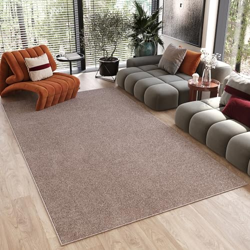 TAPISO Noyan Teppich Antirutsch Kurzflor Beige Einfarbig Waschbar Modern rutschfest Waschmaschinenfest Wohnzimmer Schlafzimmer ÖKOTEX 300 x 400 cm