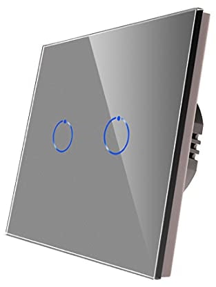 CNBINGO Double Dimmer Switch for LED Lights, Grey Touch Light Switch, No Neutral Wire Required, Tempered Glass Panel with LED Backlight, 2-Gang 1-Way, AC 240V 500W