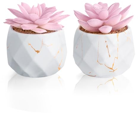 ZENIDA Lot de 2 plantes artificielles en pot en céramique, plantes succulentes, fausses plantes d'intérieur, décoration pour chambre à coucher, salon, salle de bain, bureau, pot blanc avec veines