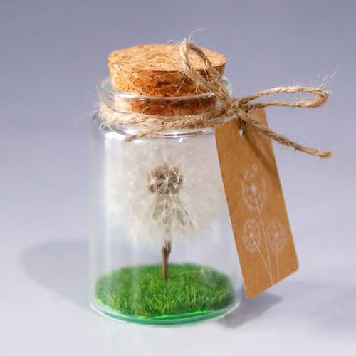 Uixxducc Ewige Blume Löwenzahn Wunscherfüller Geschenk Freundin Geburtstag Pusteblume im Glas Jugendweihe Geschenke (B)