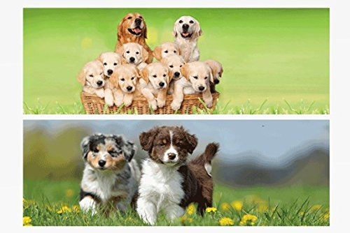 1x 3D Lesezeichen Hunde 15x5cm Tiere Wackelbild Wackelkarte Buchzeichen Bookmark Bücher Buch Hund