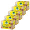 Willi Dungl Bio Blasen-Nieren-Tee / 5er Pack
