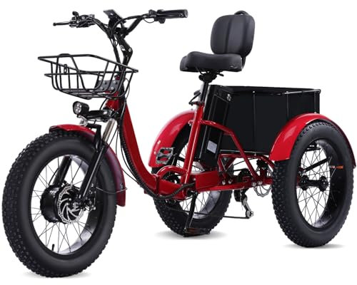 Broobey Erwachsenes Dreirad elektrisches 3-Rad-Fahrrad für Eltern Lastenfahrrad 20