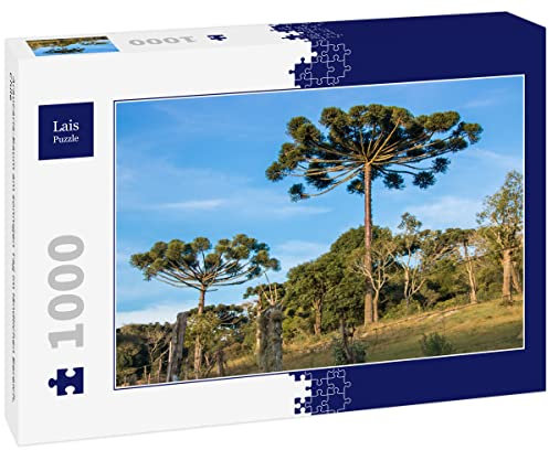 Lais Puzzle Arbre Araucaria par Une journée ensoleillée en Zone Rurale, Chili 1000 pièces