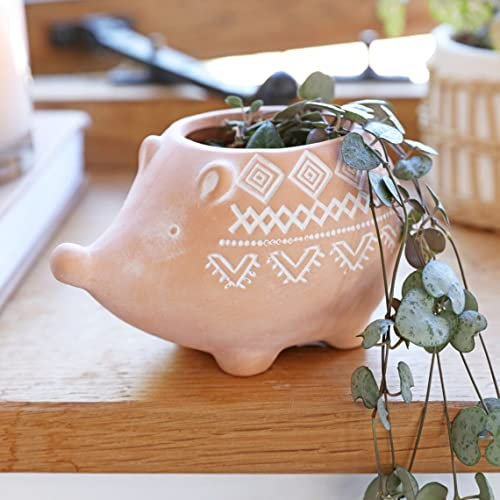 eBuyGB Hedgehog Planter Pot, Mini 8 cm Modern Unglazed Terracotta Plant Pot, Indoor Succulent Flower Vase with Geometric Pattern