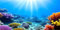 MIRRORANG 120x46cm Underwater Aquarium Background Sunlight Blue Sea Colorful Coral Reef Undersea World Fish Tank Poster Backdrop