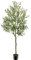 GTIDEA Künstlicher Olivenbaum, 183 cm, für den Innenbereich, mit Topf und Korb, 7.87 cm (B) x 35.8 cm (H), Grün, für alle Jahreszeiten, Dekoration, Einweihungsfeier, Frühlingsdekor