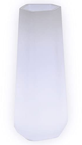 Danieli Vasi Luminosi da Giardino | Vaso luminoso da interno ed esterno | Fioriera e Vasi a led a risparmio energetico 100% Made in Italy (LARGE, Bianco FREDDO)