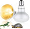 Lotvic 2 Pack 100W Reptile Heat Lamp, E27 Heat Lamp Bulb for Reptiles, Daylight Basking Spot Lamp, Tortoise Heat Lamp Bulb, Reptile Heating Bulb for Amphibian, Tortoise, Bearded Dragon (2 Pack 100W)