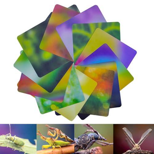 Juego de tarjetas de fondo Guage para fotografía macro, 12 unidades, 24 colores (21 x 15 cm), material absorbente de luz, fondos ecológicos para fotografía macro. (A5N Sizes 12 unidades 24 colores)